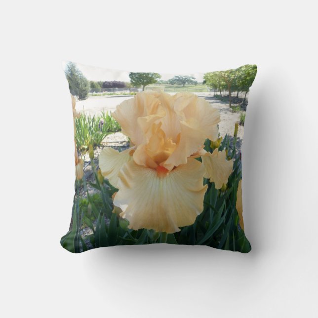 IRIS PILLOW (Front)