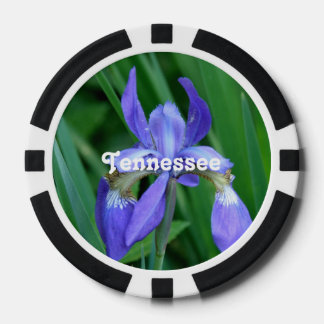 Iris Poker Chips
