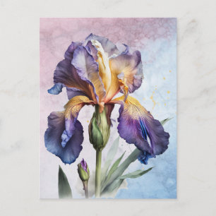 Iris Postcard