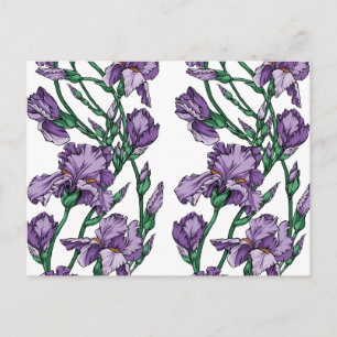 Iris Postcard