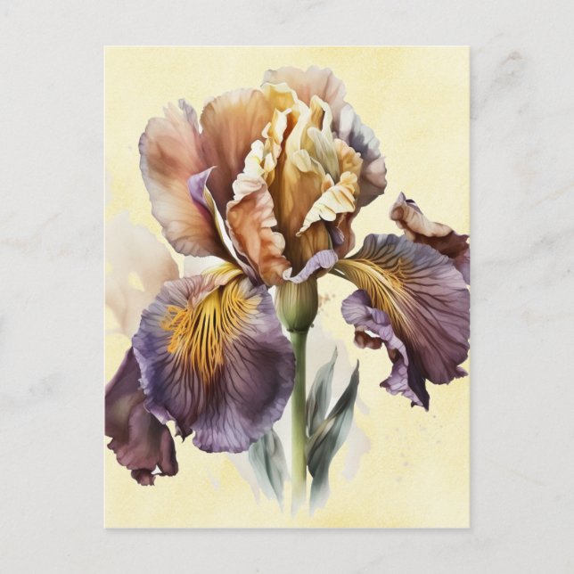 Iris Postcard (Front)