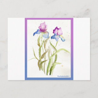 Iris Postcard