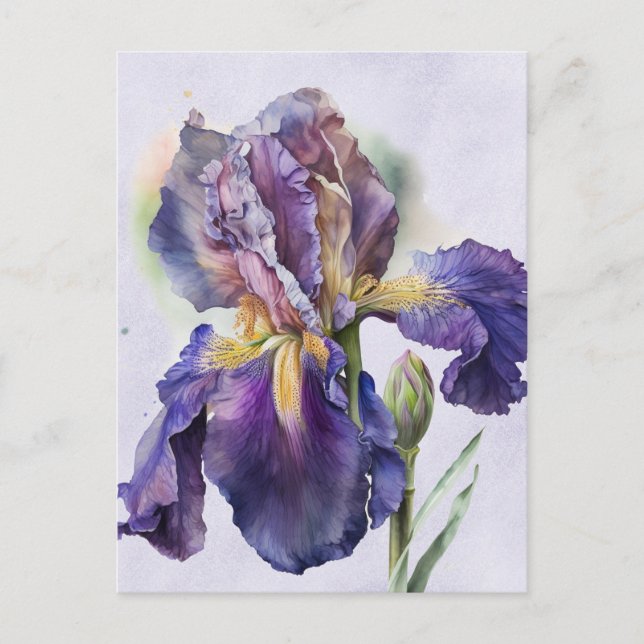Iris Postcard (Front)