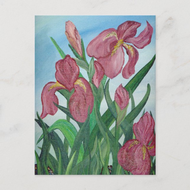 Iris Postcard (Front)