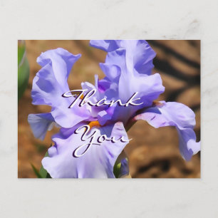 Iris Postcard- customise for any occasion Postcard