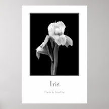 'Iris' Poster