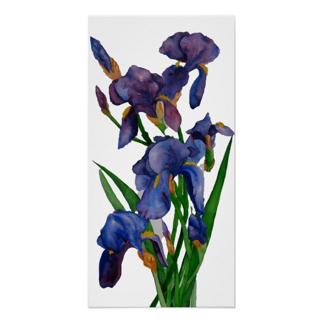 Iris Print (Front)