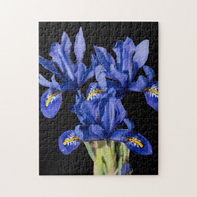 Iris Puzzle (Vertical)