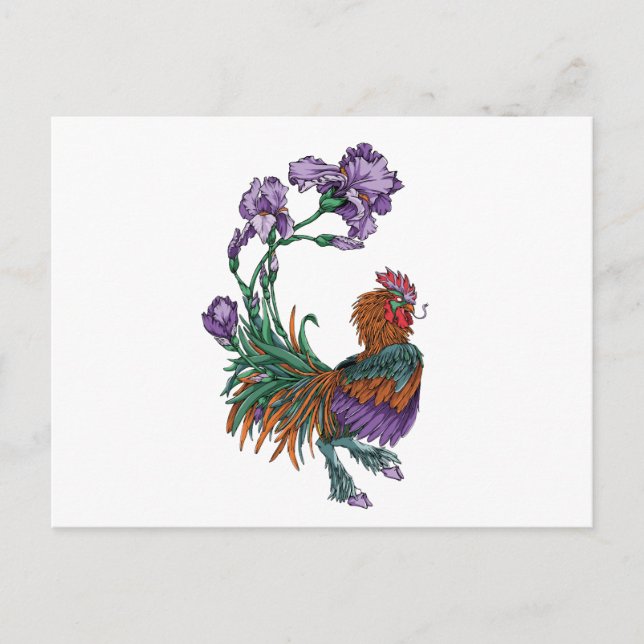 Iris Rooster Postcard (Front)
