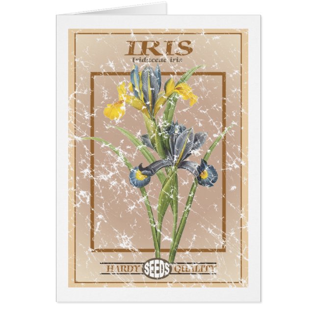 Iris seed packet - distressed (Front)