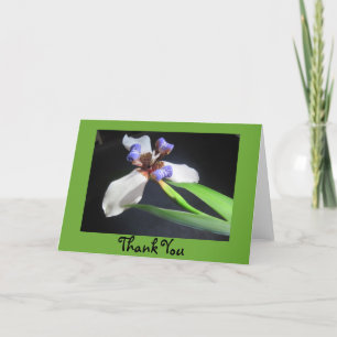 Iris Thank You Card