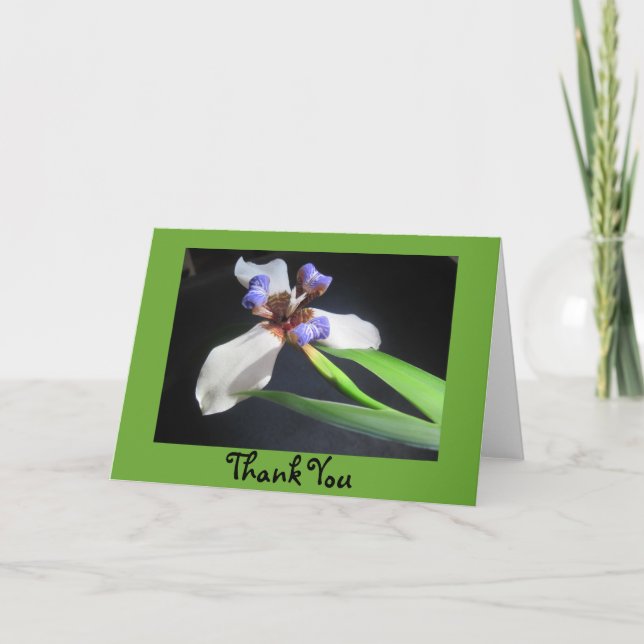 Iris Thank You Card (Front)