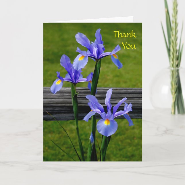 Iris Thank You Card (Front)
