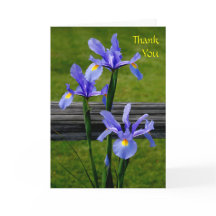 Iris Thank You Card