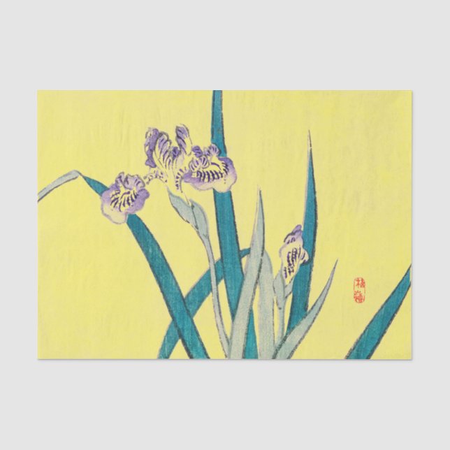 IRIS Tissue Paper (Front)