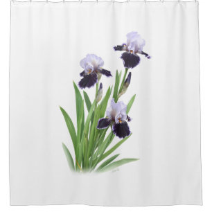 Iris Trio Shower Curtain