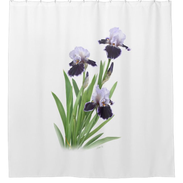Iris Trio Shower Curtain (Front)
