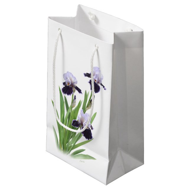 Iris Trio Small Gift Bag (Front Angled)