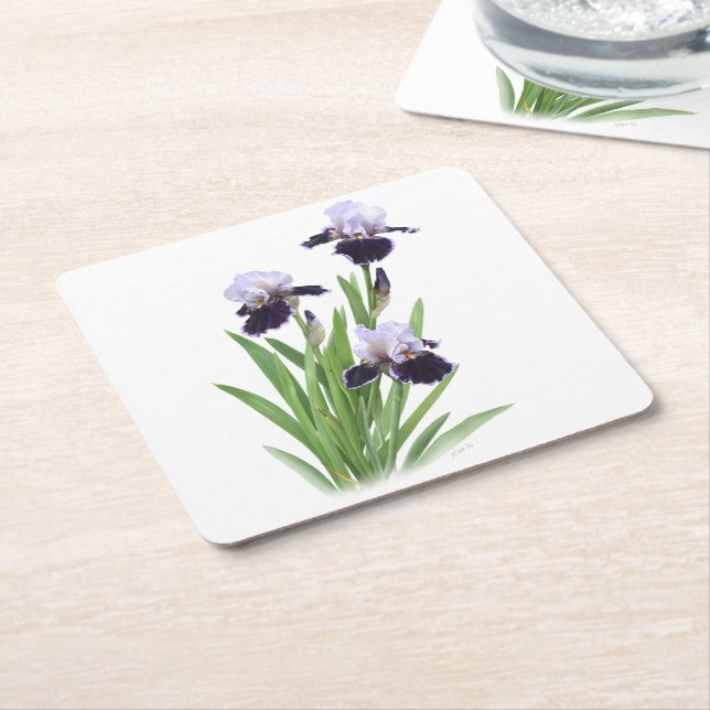 Iris Trio Square Paper Coaster (Angled)