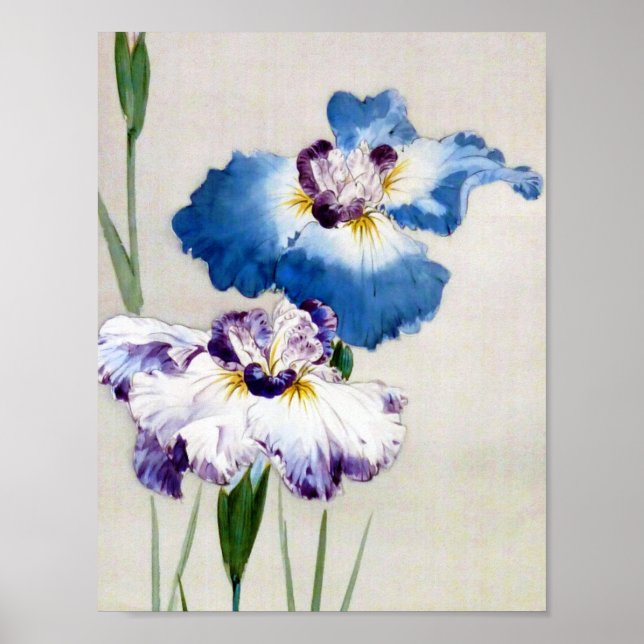 Iris, Watanabe Seitei Poster (Front)