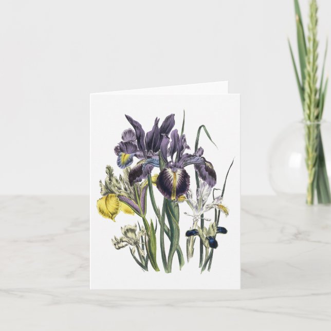 Iris Watercolor Blank Note Card (Front)