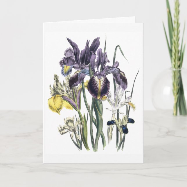 Iris Watercolor Sympathy Card Updated (Front)