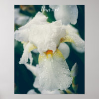 Iris with water droplets customisable