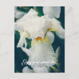 Iris with water droplets postcard
