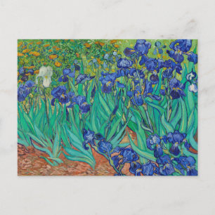 Irises 1889 by Vincent Van Gogh Fine Art Flowers Postcard