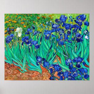 Irises (1889) Vincent Van Gogh blue floral garden  Poster