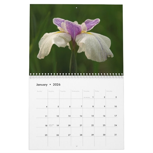 Irises 2009 calendar (Jan 2026)
