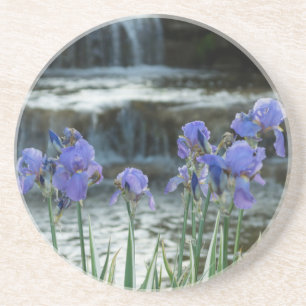 Irises At Chateau Coaster
