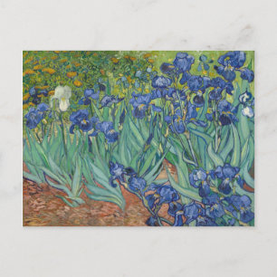 Irises Blue Green Yellow Van Gogh Postcard