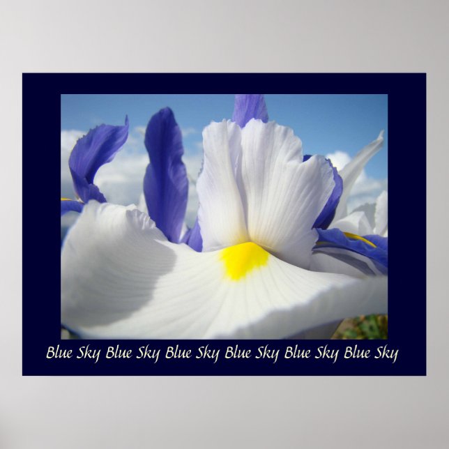 Irises Blue Sky art print Healing Touch Nursing (Front)
