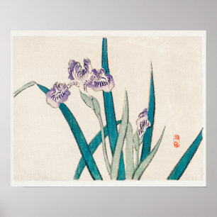 Irises by Kōno Bairei (1844-1895) Poster