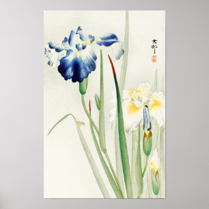 Irises by Ohara Koson Poster