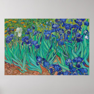 Irises by Van Gogh Art Painting Poster