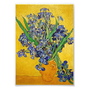 Irises by Van Gogh Photo Print