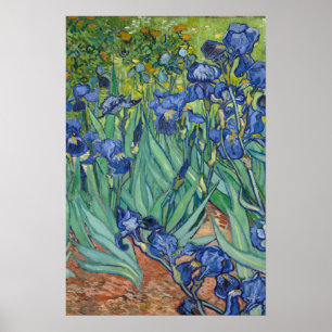 Irises by Van Gogh Poster