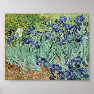 Irises by Van Gogh Poster