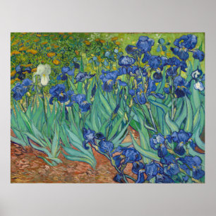 Irises by Vincent Van Gogh 1889 Poster