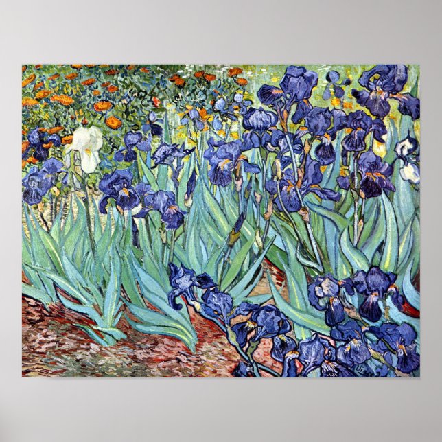 Irises by Vincent van Gogh 1898 Poster (Front)