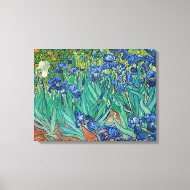 Irises by Vincent van Gogh Canvas Print (Front)
