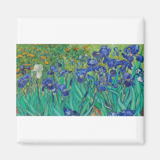 Irises by Vincent van Gogh Magnet (Front)