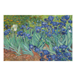 Irises by Vincent van Gogh Photo Print