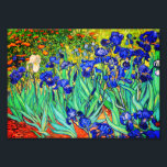 Irises by Vincent Van Gogh Photo Print<br><div class="desc">Vincent Van Gogh Irises . Painted in 1889 it is one of the painting he created in Saint Paul-de-Mausole asylum in Saint-Rémy-de-Provence in France. It is an oil painting. This fine art landscape oil painting depicts a field of iris flower plants. Vincent Van Gogh was a famous artist. He was...</div>