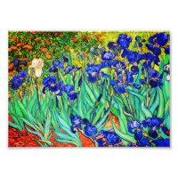 Irises by Vincent Van Gogh