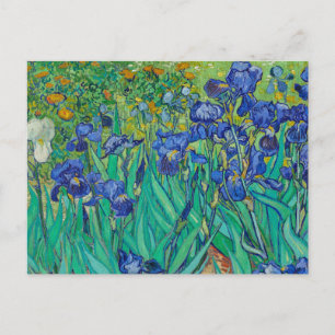 Irises by Vincent van Gogh Postcard