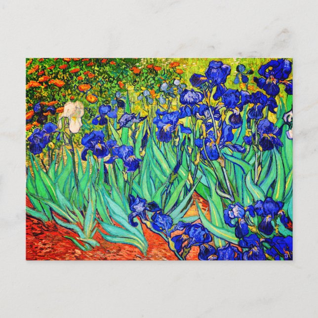 Irises by Vincent Van Gogh Postcard (Front)
