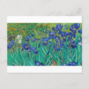 Irises by Vincent van Gogh Postcard